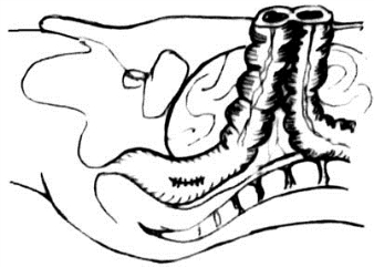 pagenumber_ebook=572,pagenumber_book=557