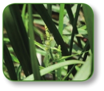 pagenumber_ebook=195,pagenumber_book=182