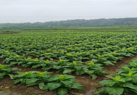 图片 5 图片 5.png