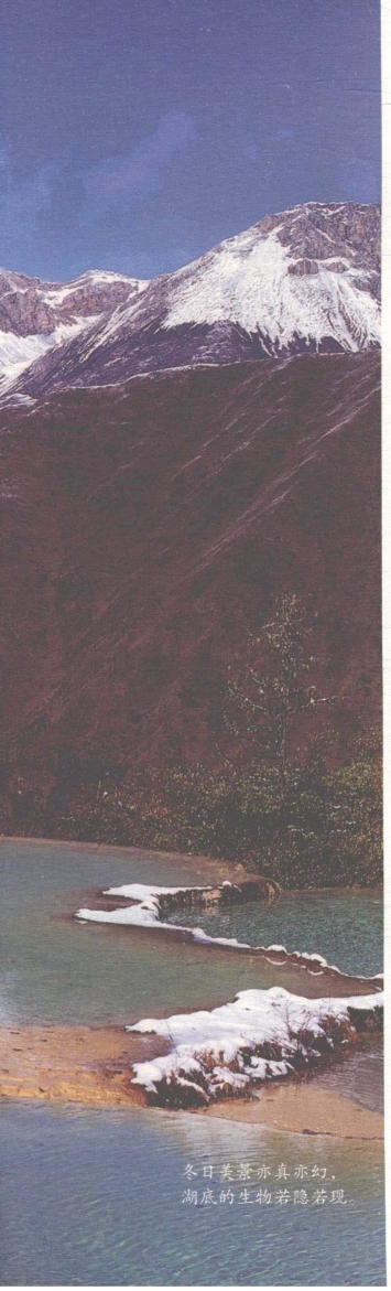 pagenumber_ebook=177,pagenumber_book=169