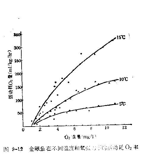氧张力对鱼类耗氧率的影响.jpg