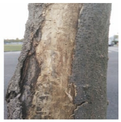 pagenumber_ebook=45,pagenumber_book=37