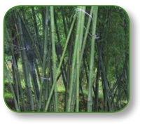 pagenumber_ebook=212,pagenumber_book=199