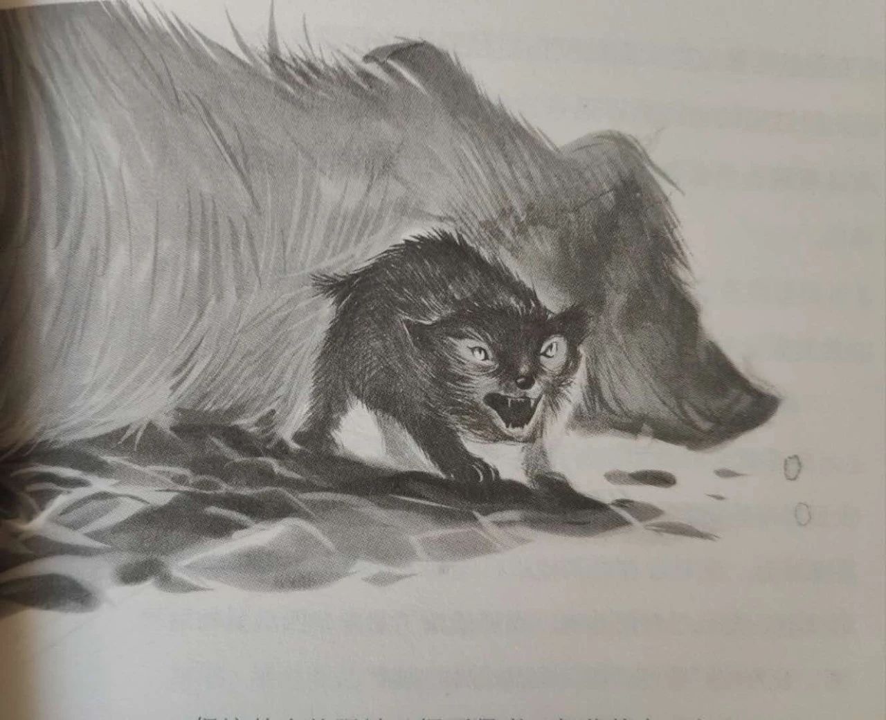 8299c5096543f283a6fb06a789761f20 8299c5096543f283a6fb06a789761f20.jpg