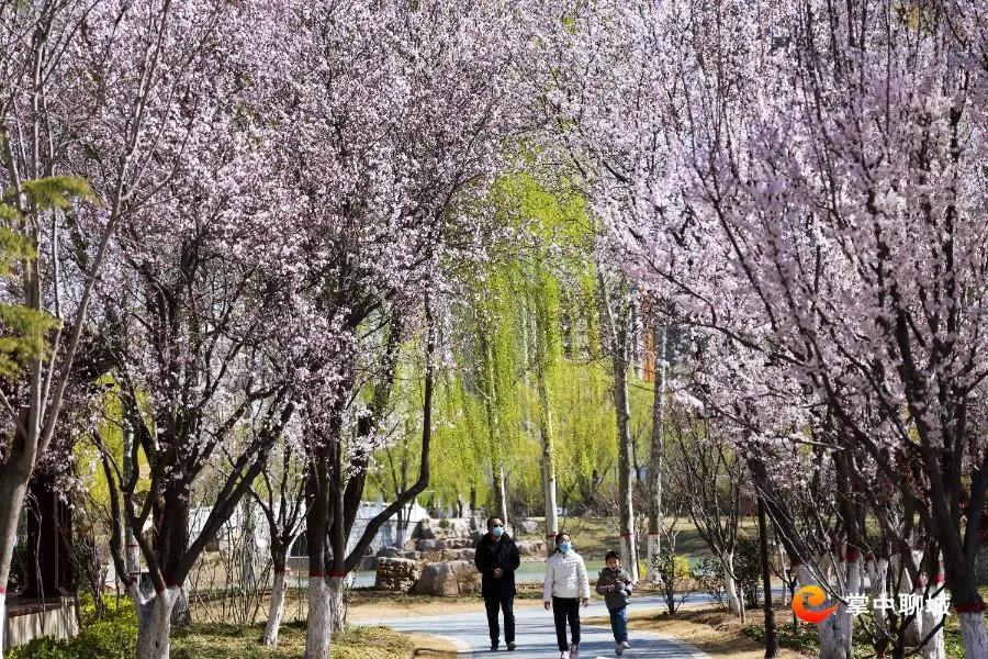 微信图片_20210324085103 微信图片_20210324085103.jpg