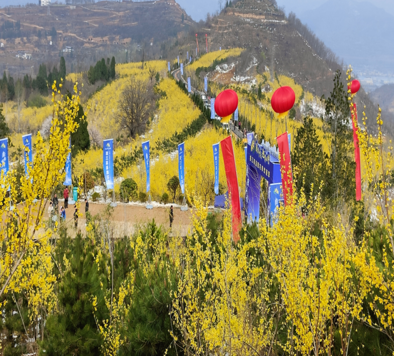 1693190183955 1693190183955.png