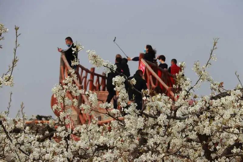 微信图片_20200327112755 微信图片_20200327112755.jpg