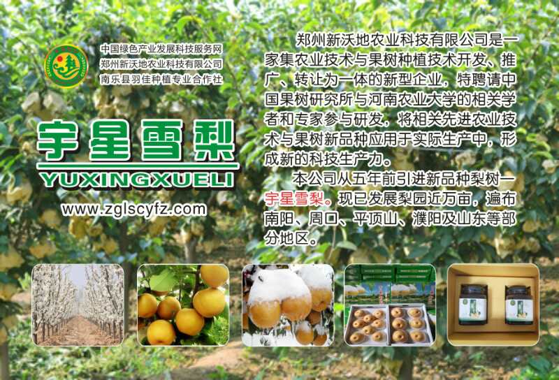 微信图片_20200923173713