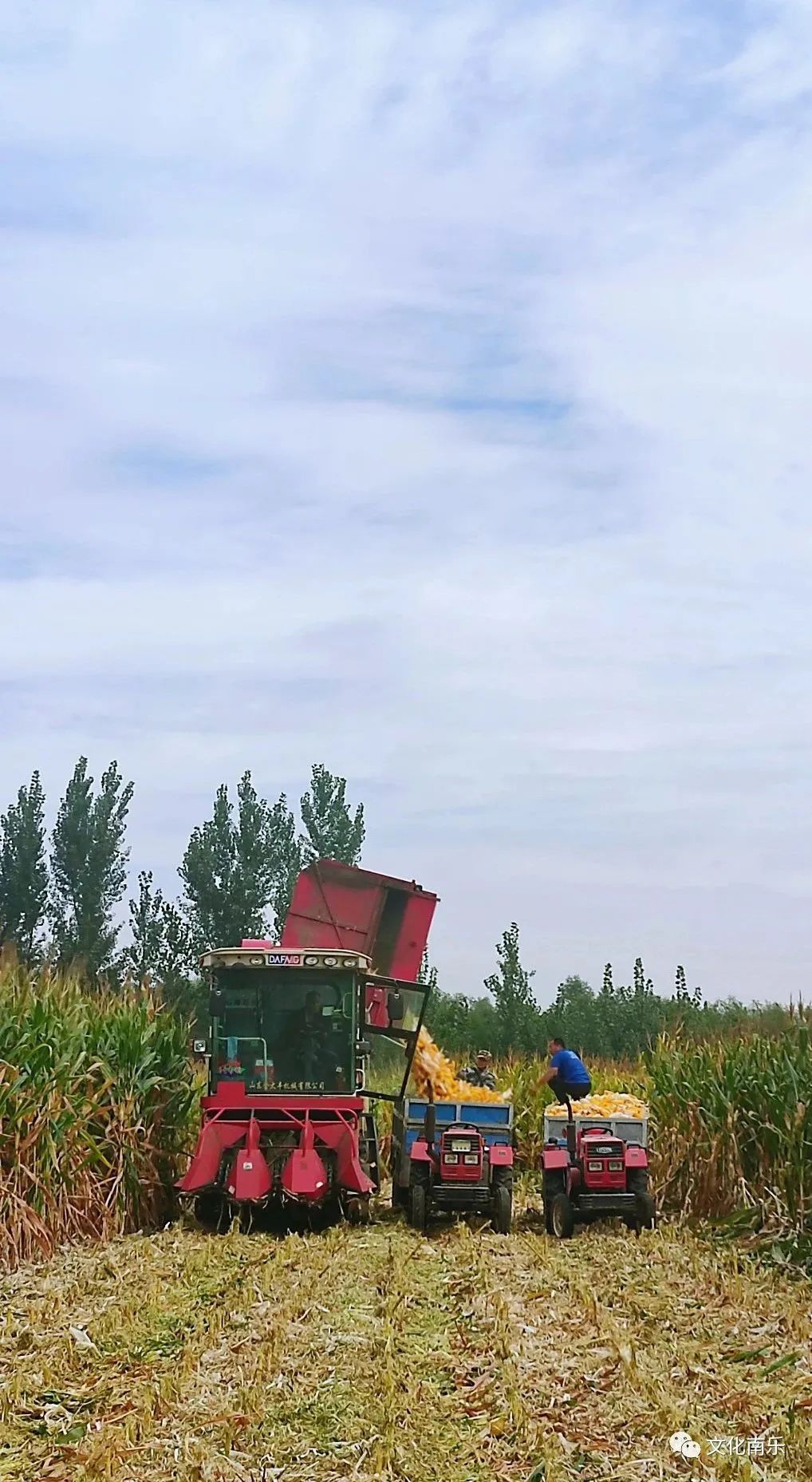 568582c6178e0c6e27a184eb40819856 568582c6178e0c6e27a184eb40819856.jpg