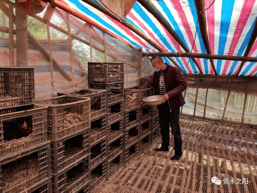 1 1.jpg?v=1765954259847