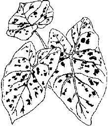 pagenumber_ebook=269,pagenumber_book=269