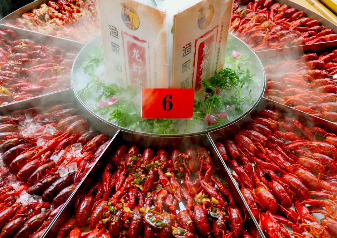 15 15.jpg?v=1765880614190