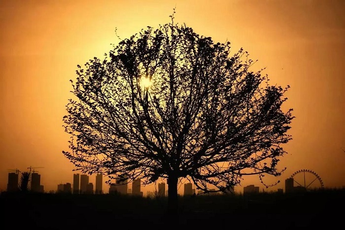 《美丽榆次我的家》 王笑容