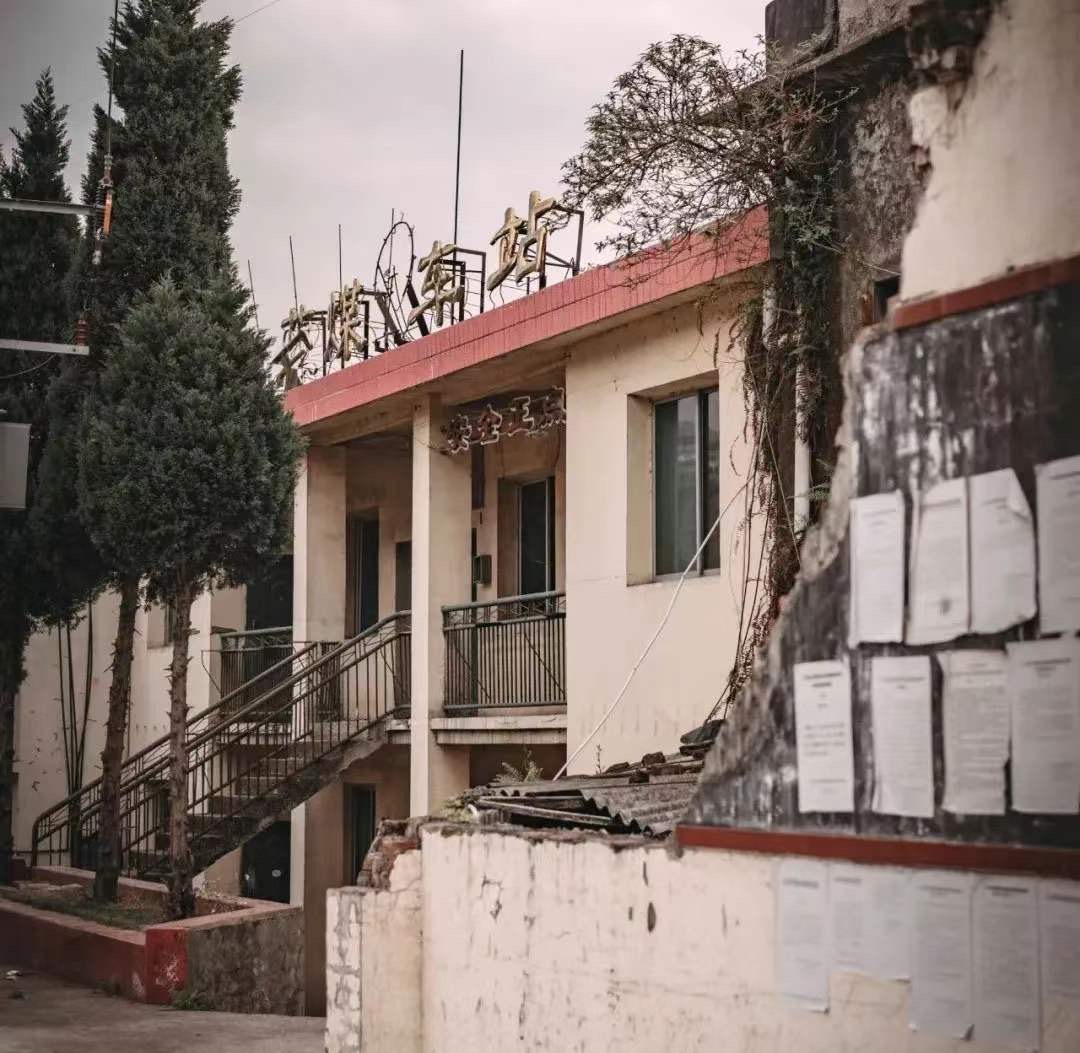 IMG_1417(20200417-104939) IMG_1417(20200417-104939).jpg?v=1765781105416