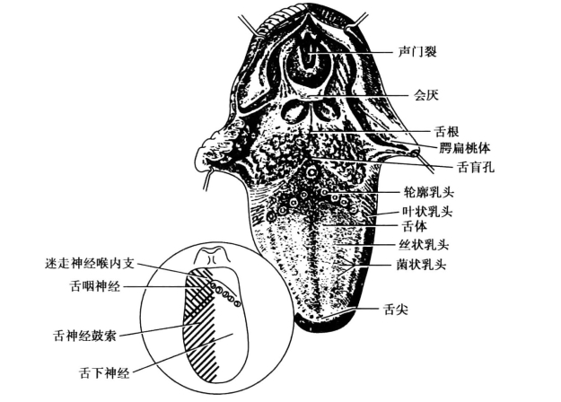 pagenumber_ebook=112,pagenumber_book=103