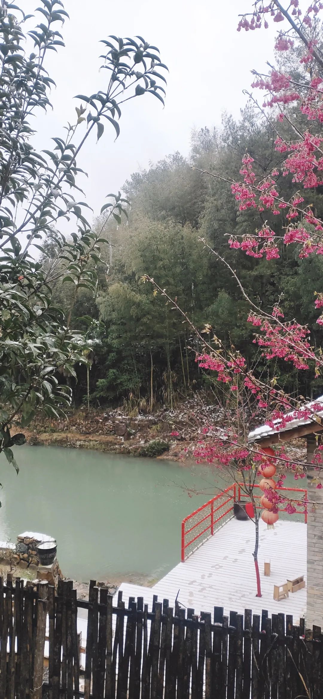 微信图片_20220225091934 微信图片_20220225091934.jpg