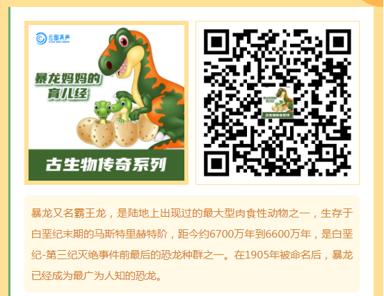 image.png?v=1750240592262