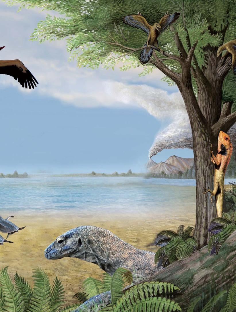 pagenumber_ebook=22,pagenumber_book=11