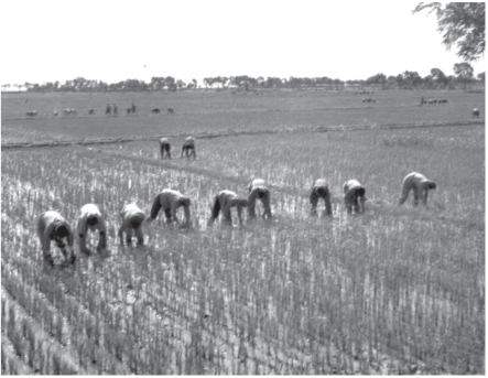 pagenumber_ebook=260,pagenumber_book=248