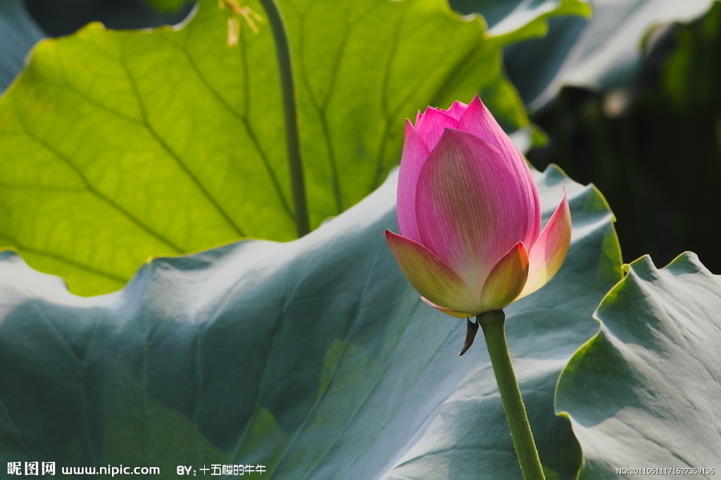 image01
