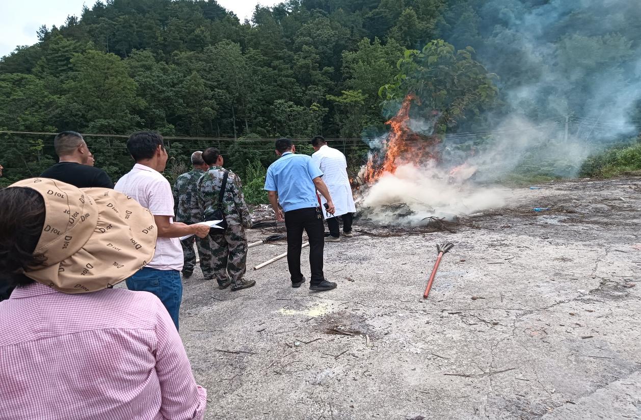 图片22 图片22.jpg