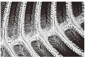 pagenumber_ebook=71,pagenumber_book=64