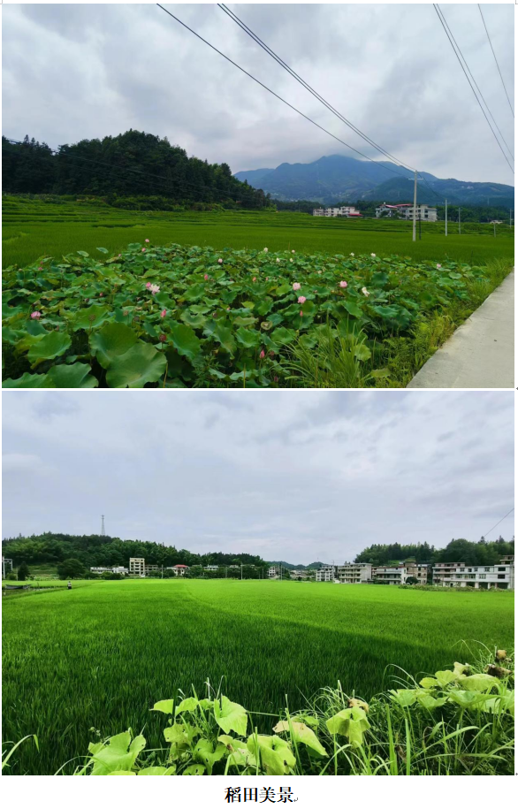 1732352569081 1732352569081.png