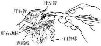 pagenumber_ebook=219,pagenumber_book=204