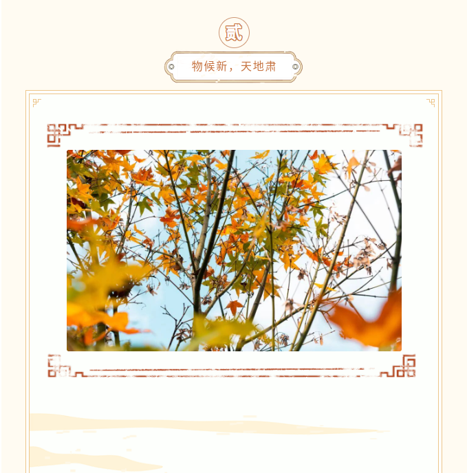 image.png?v=1787517468287
