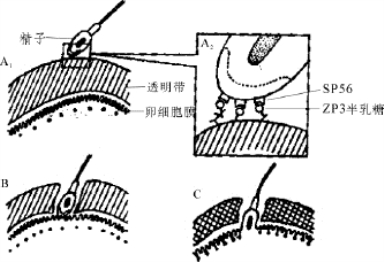 pagenumber_ebook=101,pagenumber_book=88