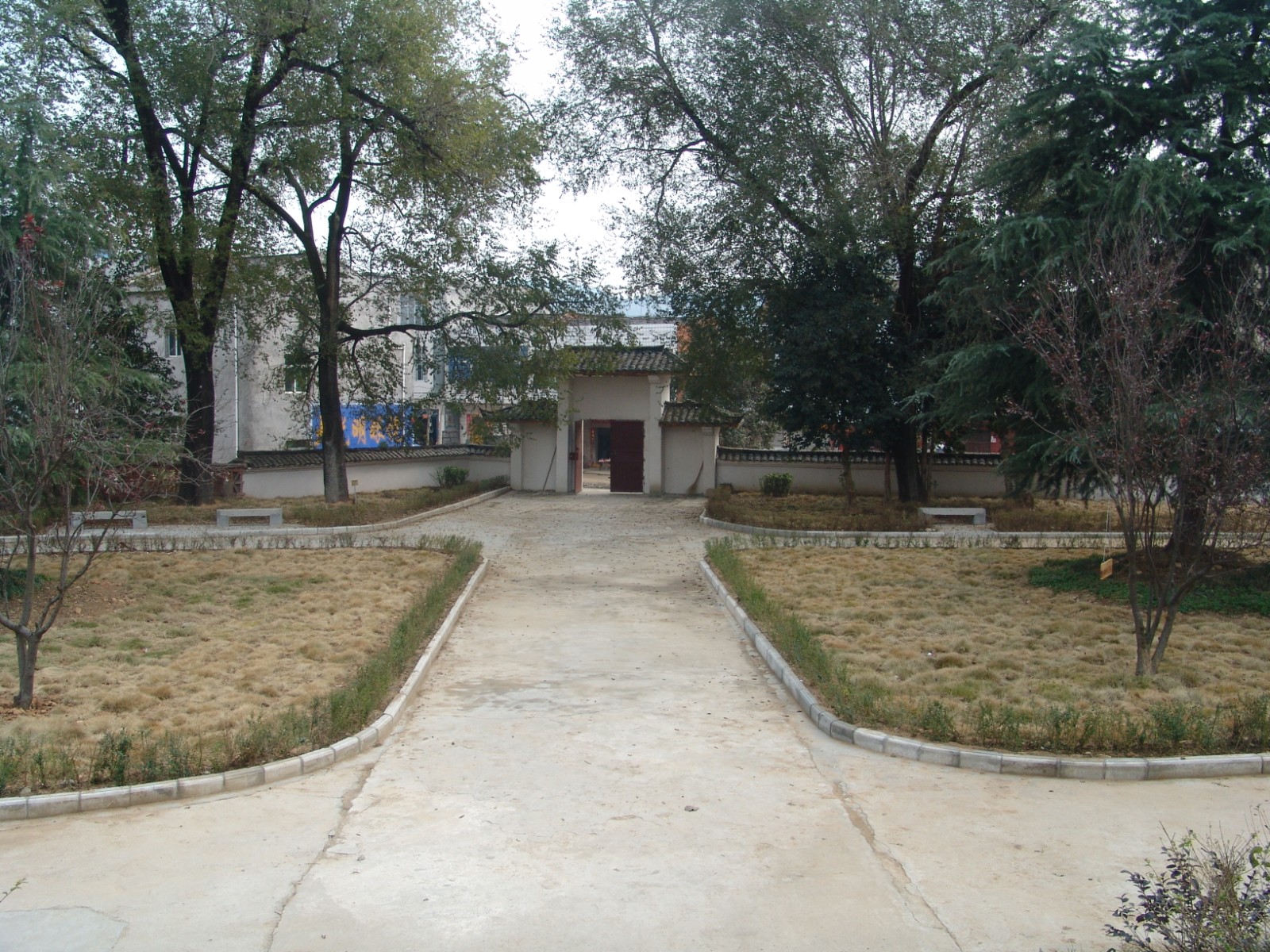 DSC08799