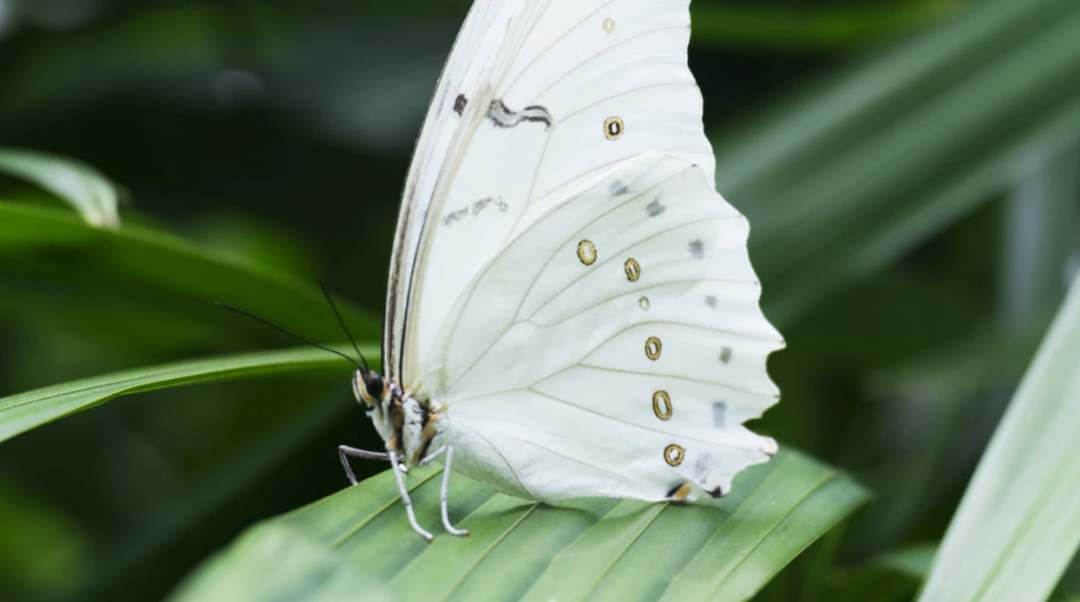 微信图片_20220228151441 微信图片_20220228151441.png