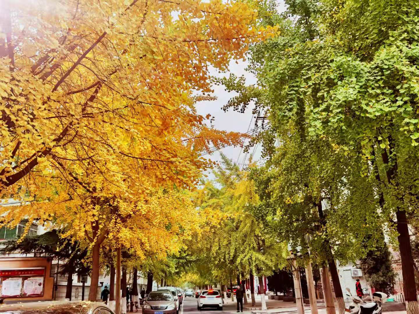 348836a97fd2231199b331c09b27ca6 348836a97fd2231199b331c09b27ca6.jpg