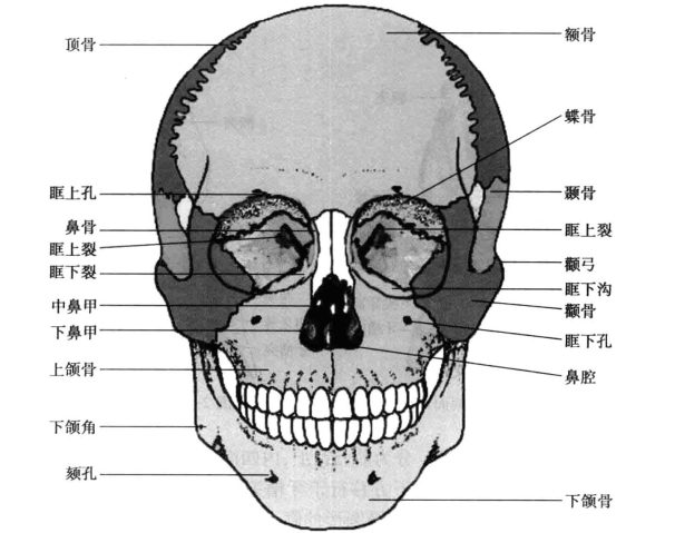 pagenumber_ebook=56,pagenumber_book=47