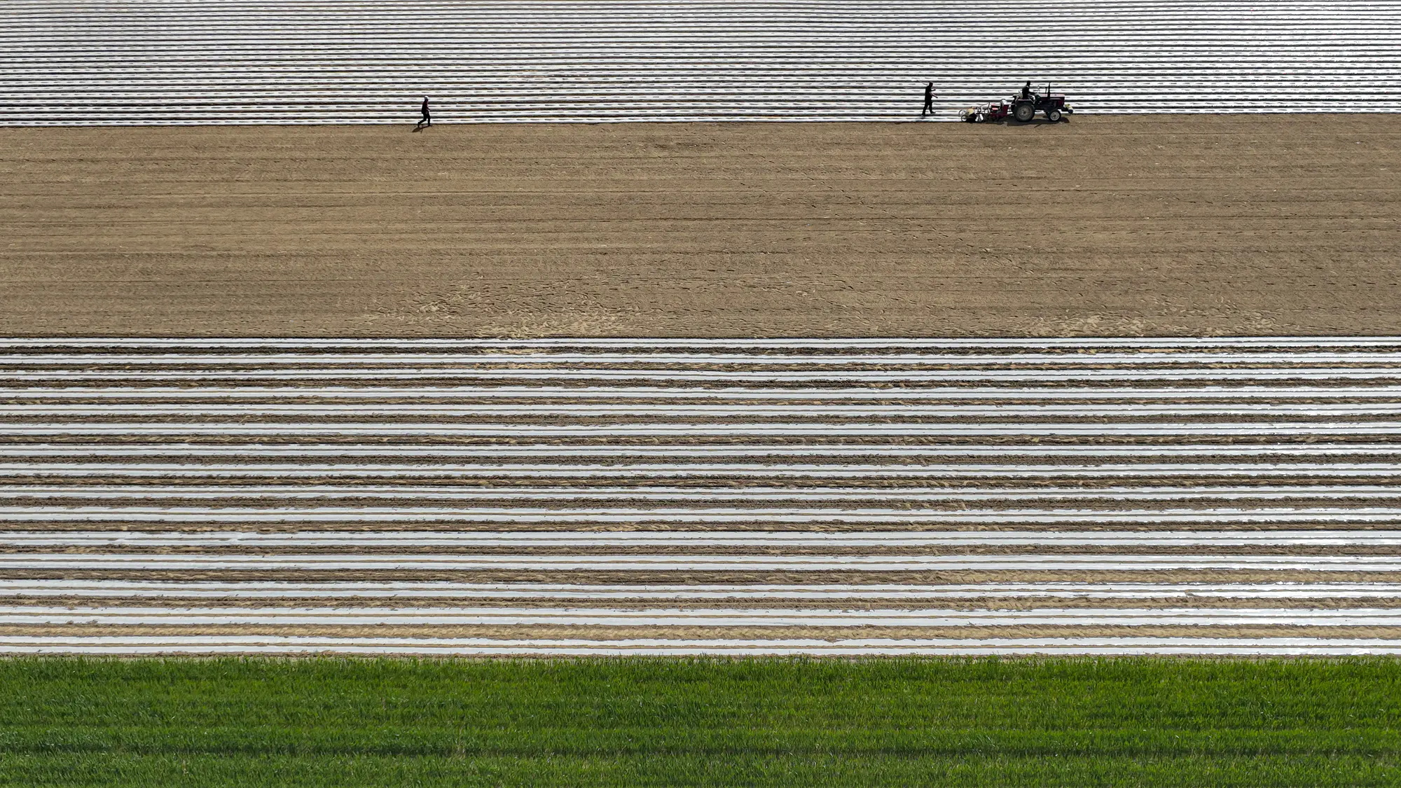 1_看图王 1_看图王.jpg