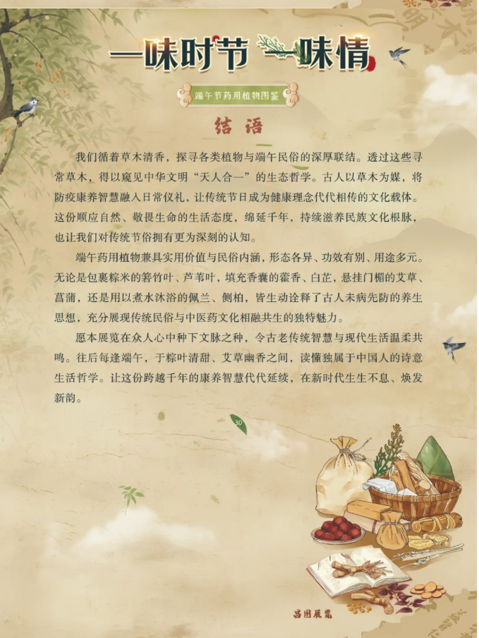 image.png?v=1782174181266