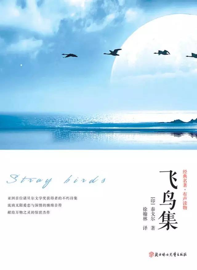 20170421171236_1wjhqpwt71 20170421171236_1wjhqpwt71.jpg?v=1765720307396