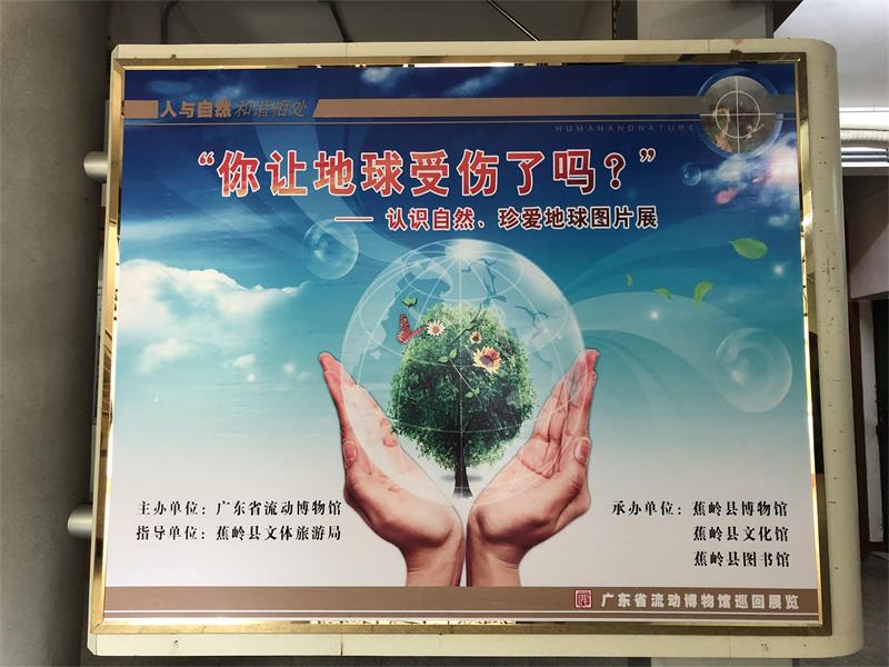 11 11.jpg?v=1766076921846