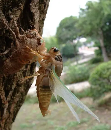 1111111111 1111111111.png