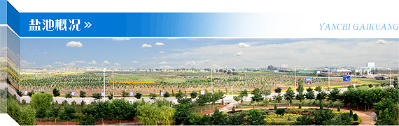 图片1.png?v=1763520834461