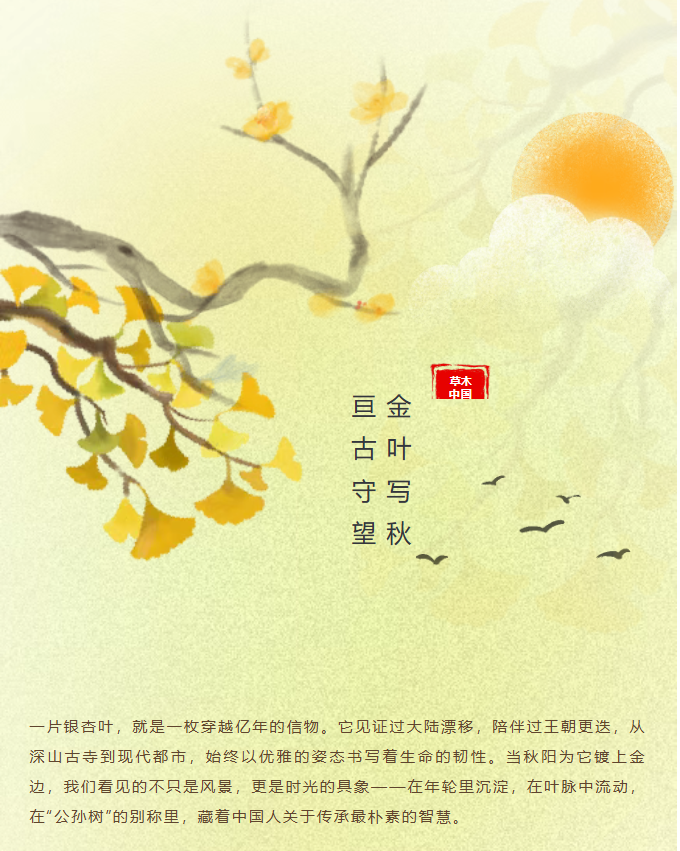 image.png?v=1762073802454