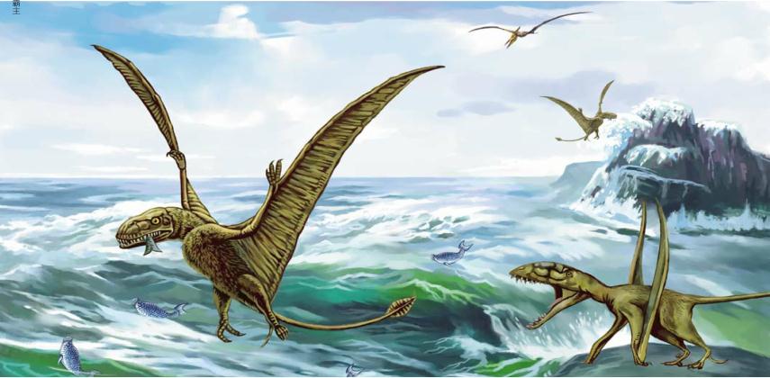 pagenumber_ebook=115,pagenumber_book=114