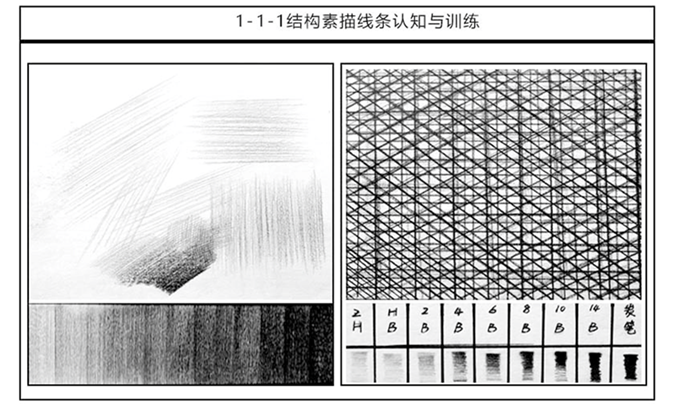 任务1. 1 素描的线条训练