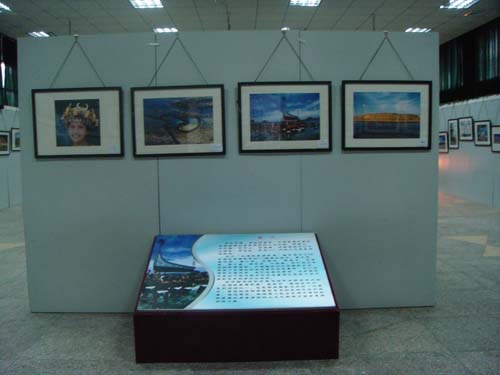 2013022252822273 2013022252822273.jpg?v=1764813590249