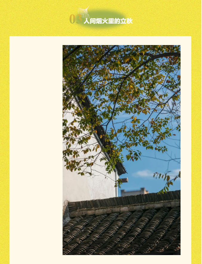 image.png?v=1786659430803