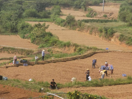 图片 16 图片 16.png