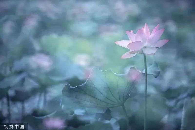 7d687205b95cc7407b5120e87c66b771 7d687205b95cc7407b5120e87c66b771.jpg