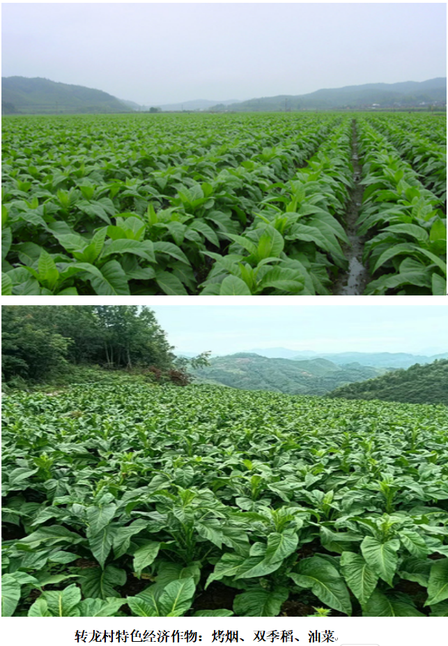 1732182765539 1732182765539.png