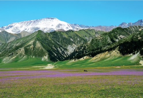 pagenumber_ebook=109,pagenumber_book=98