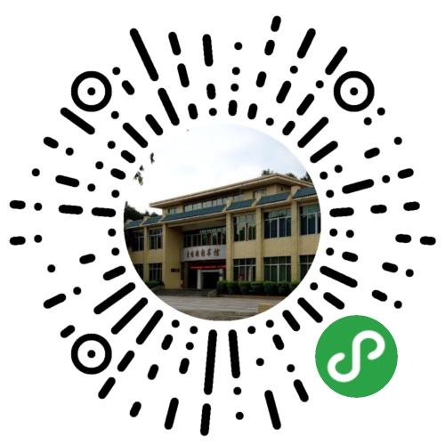 种子 种子.png?v=1765891756292